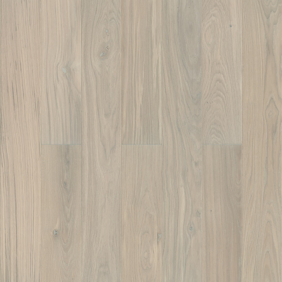 Tango Classic OAK Bright